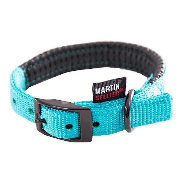 Collar para perro modelo Confort color turquesa medida 2 cm-45cm