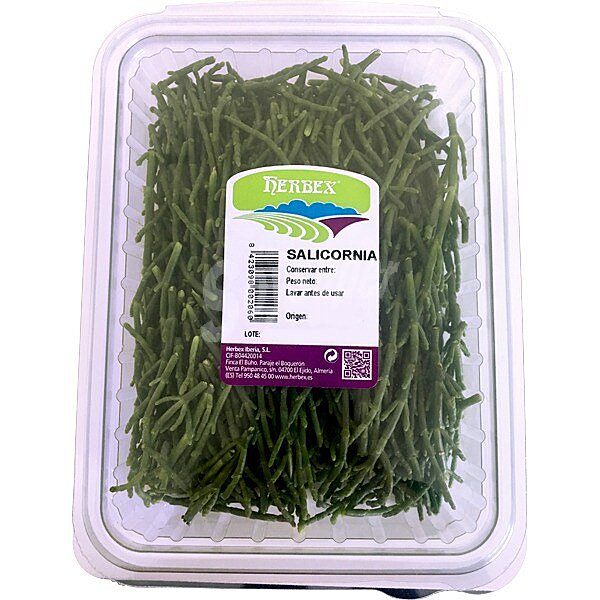 Salicornia unidad 100 g