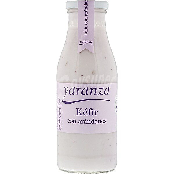 Kefir con arandanos envase 500 g