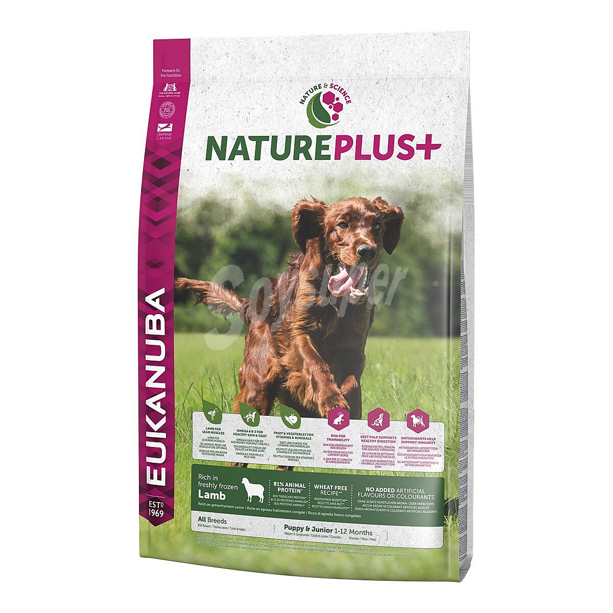 Natureplus+ puppy & junior pienso especial para perros cachorros y junior 1-12 meses con cordero