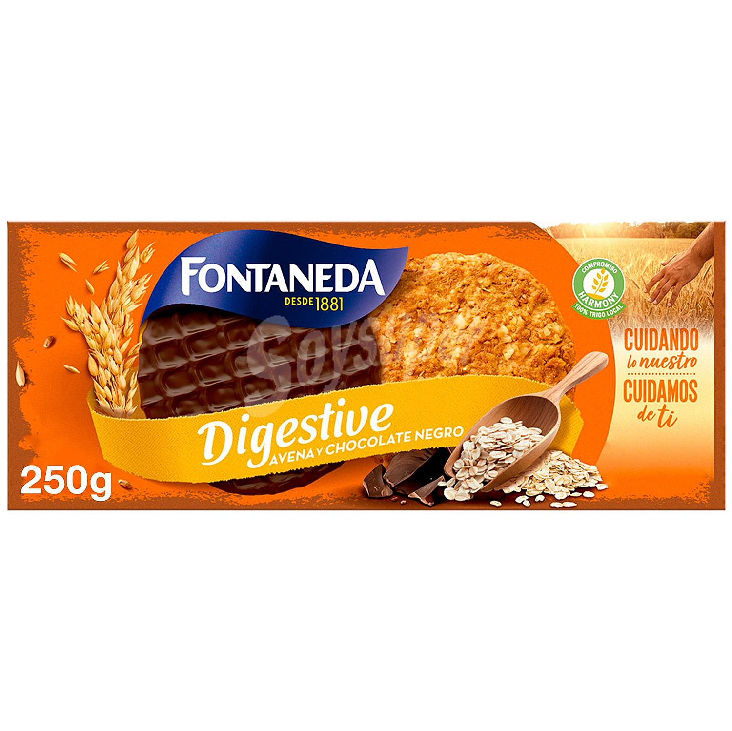 Galletas de avena con chocolate Fontaneda