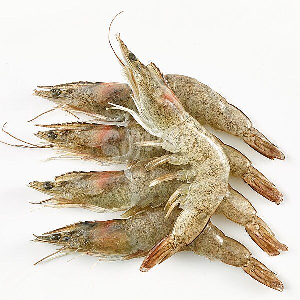 Langostino yumbo 4-5 pzas/kg