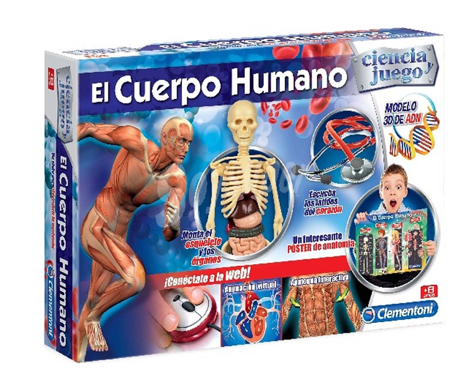 Juego educativo El cuerpo humano, con esqueleto y órganos para montar CLEMENTONI.