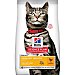 Science plan urinary sterilised pienso especial para gatos adultos +1 año esterilizados para el control urinario con sabor a pollo