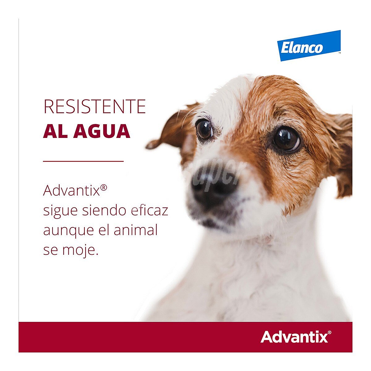 Advantix pipetas desparasitarias para perros menores de 4 kg