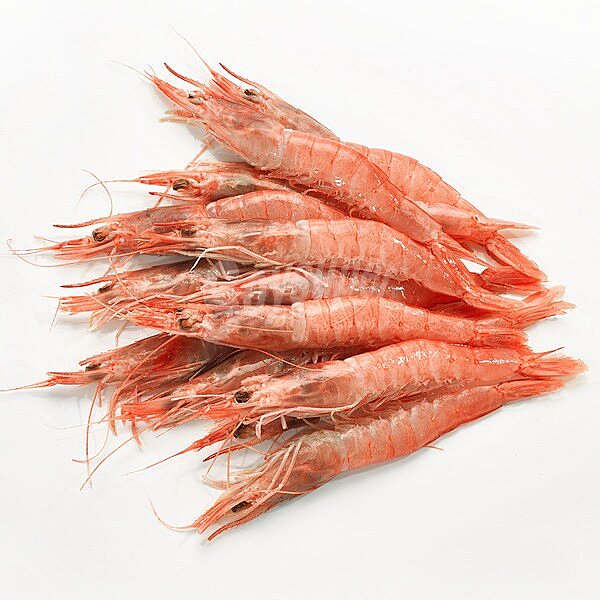 Gamba alistada de extra 26-20 pzas/kg