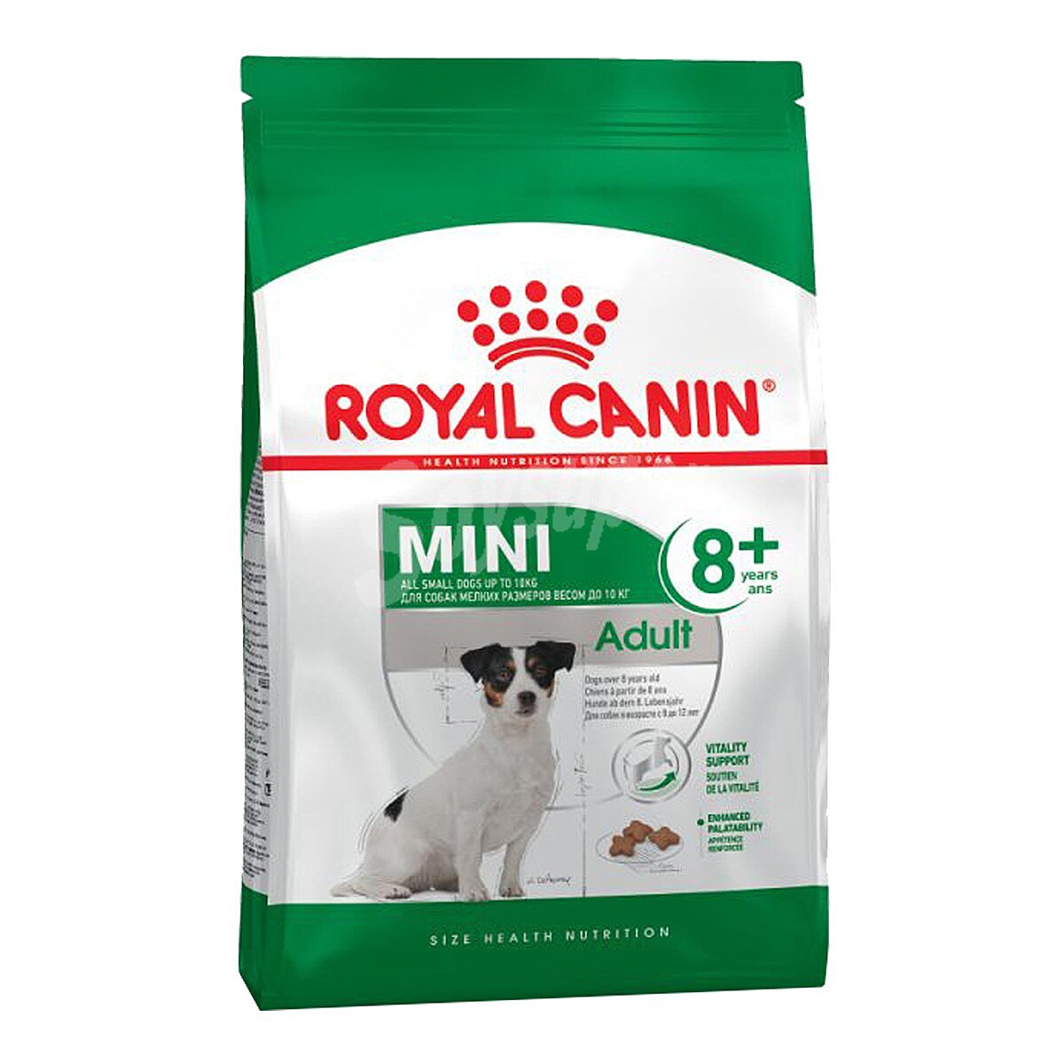 Mini pienso para perros senior minis