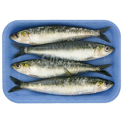 Sardinas