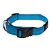 Fanbel collar de nylon celeste para perros 20mm x 34-56 cm