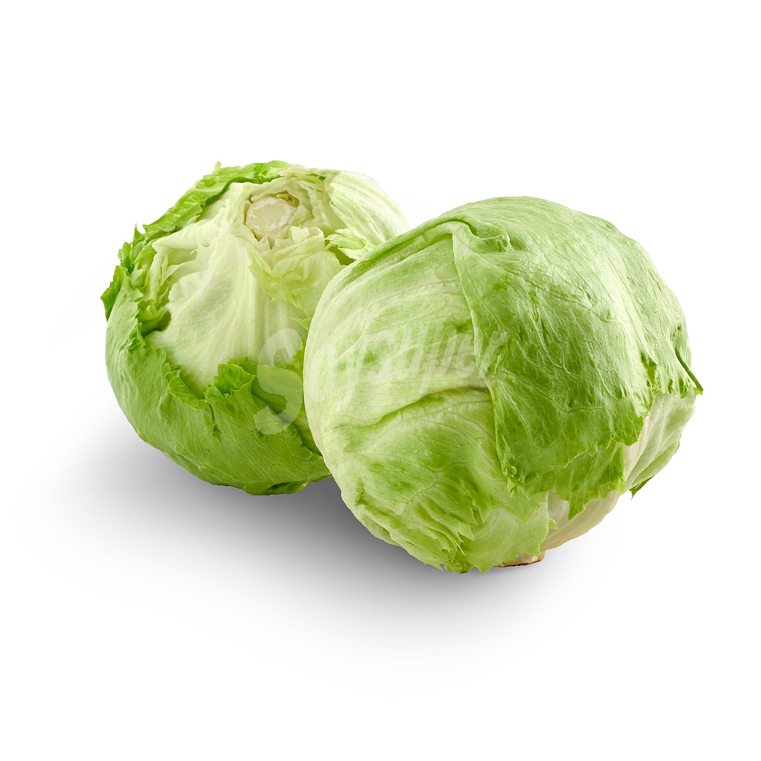 Lechuga iceberg