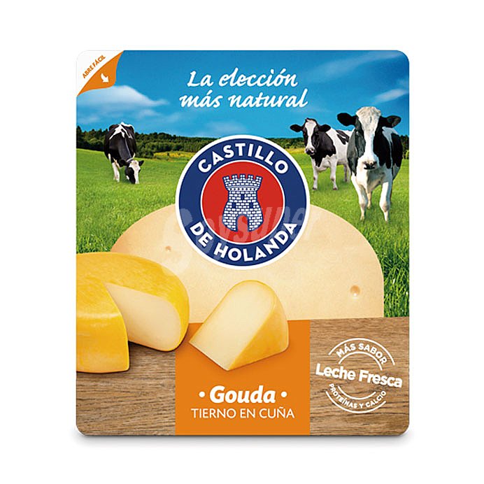 Queso Gouda cuña