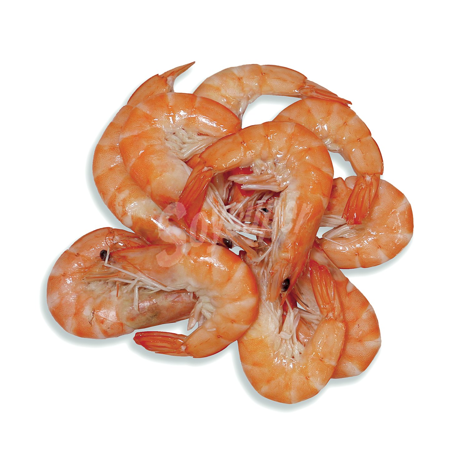 Langostino cocido bolsa (peso aprox. )