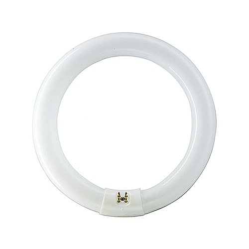 Tubo fluorescente circular 32W, con casquillo G10 y luz blanca philips TLE