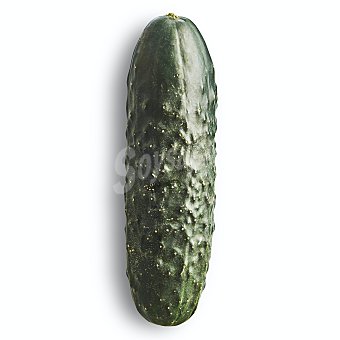 Pepino