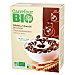 Copos de cereales con chocolate Carrefour Bio