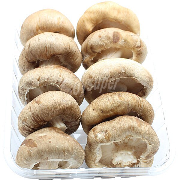 Seta Shiitake cultivada