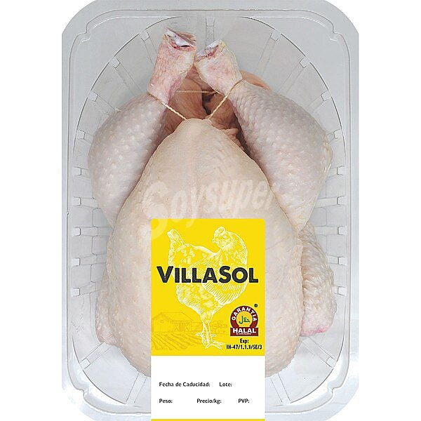 Pollo limpio entero halal para asar peso aproximado bandeja 1,5 kg