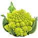 Romanescu