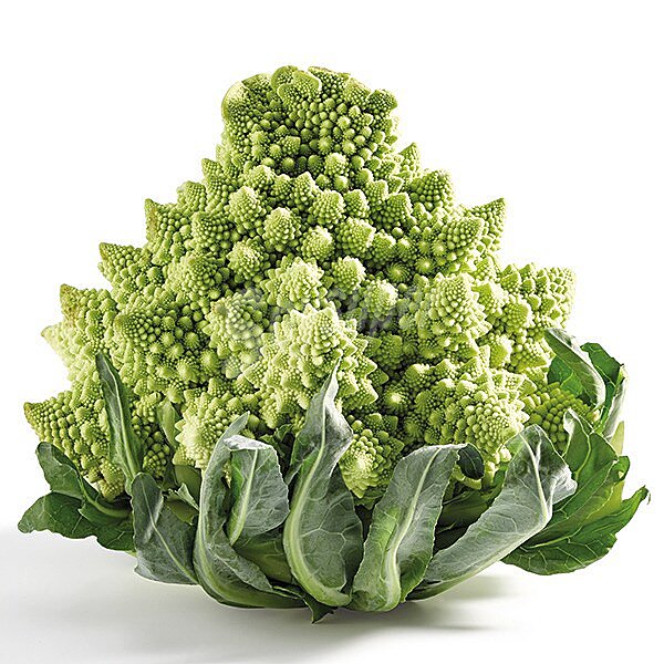 Romanescu pieza peso aproximado