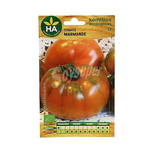 Semillas ecológicas para sembrar tomates de la variedad Marmande ha-huerto Y jardín