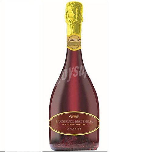 Vino rosado Lambrusco dell'emina Italia