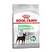 Digestive Care pienso para perros adultos minis