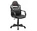 Silla gamer para escritorio regulable en altura, gran comodidad, DRW