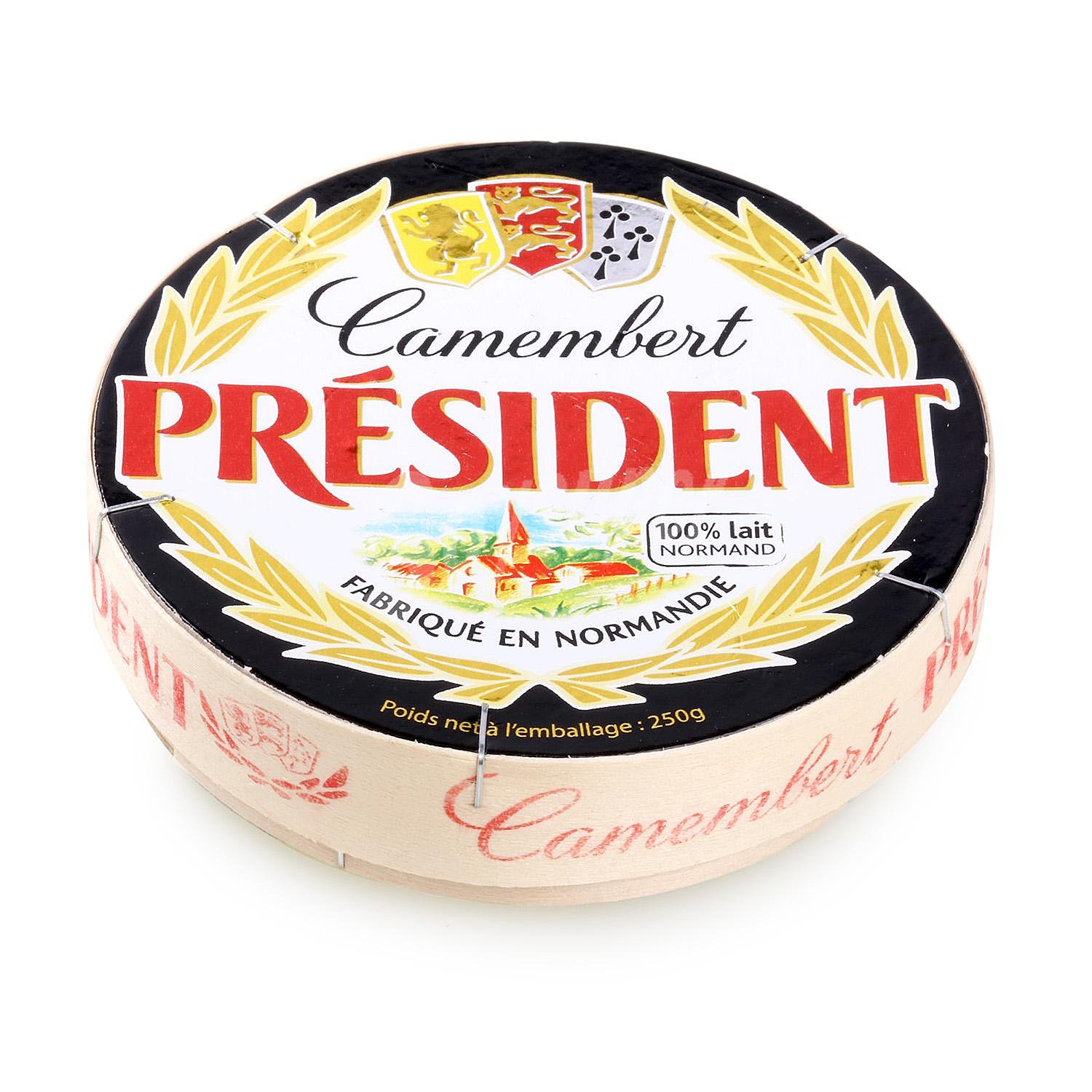 Queso Camembert