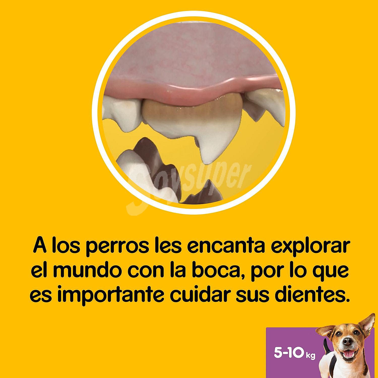 Snack para perros mini dentastix