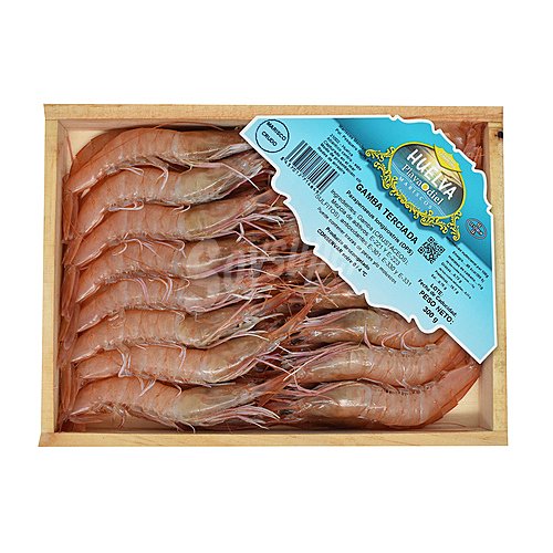 Gamba terciada