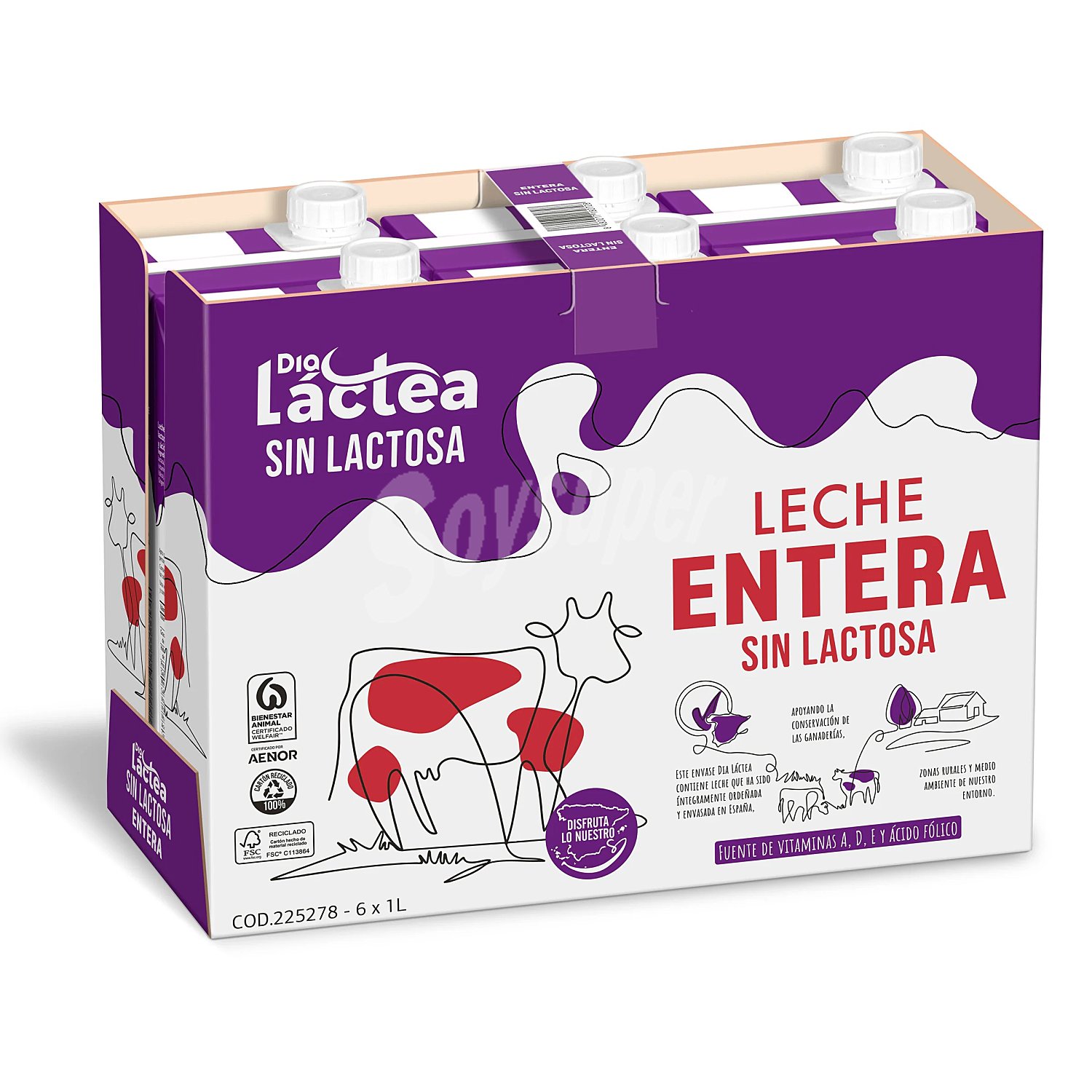 Leche entera sin lactosa Dia Láctea brik