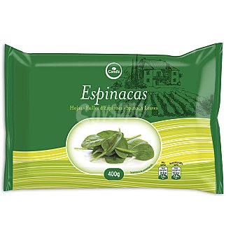 Espinacas hoja bloque