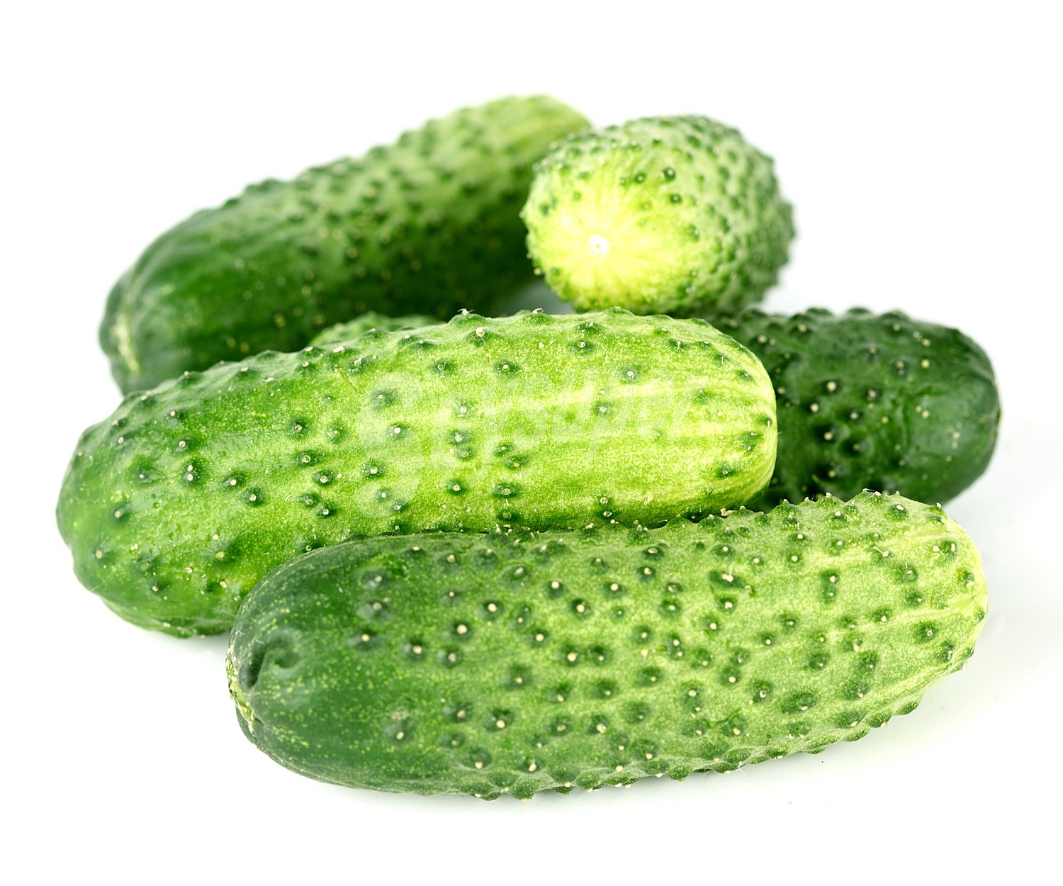 Pepino