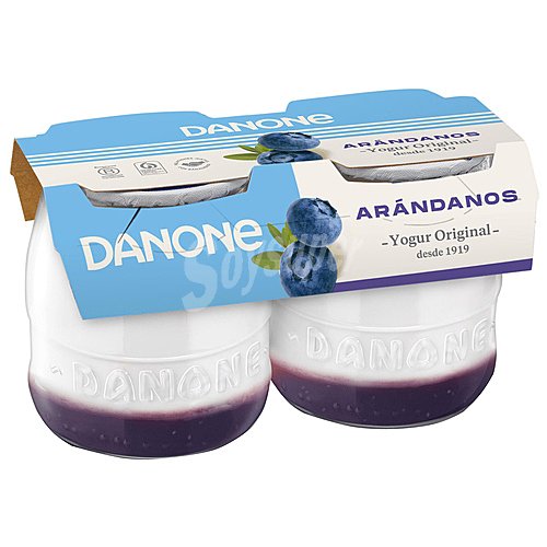 Danone Yogur natural con arándanos danone