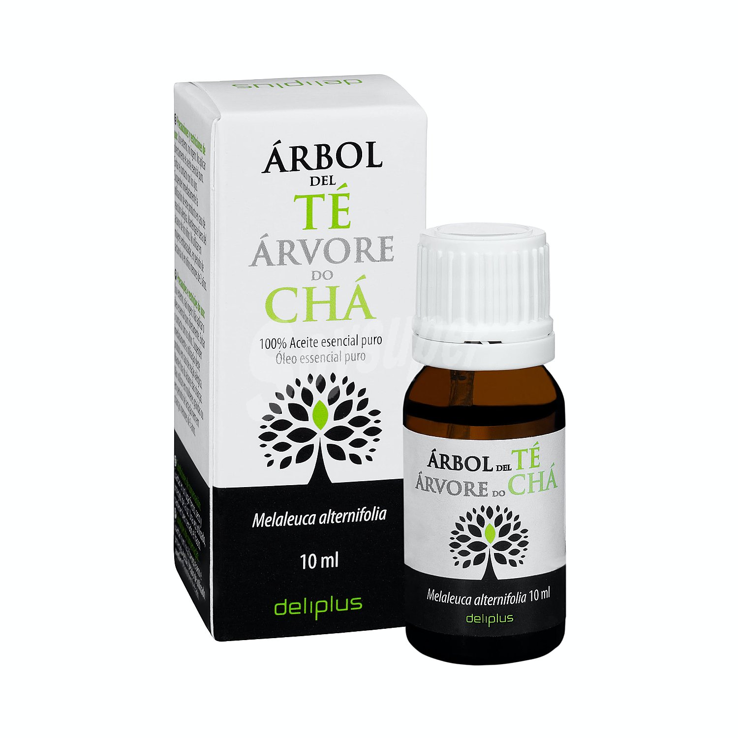 Arbol del te (previene acne,eccema,caspa,cabello graso y repele piojos)