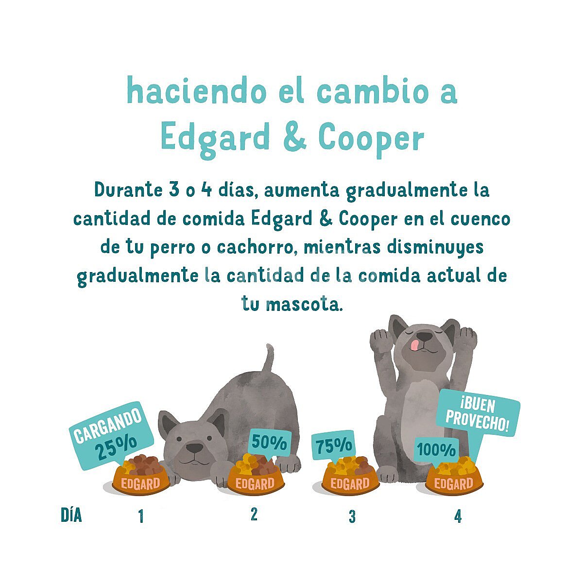 Comida húmeda para perros adultos con pollo y pavo Grain Free