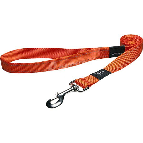 Correa para perros Lumberjack naranja 2,5x180 cm