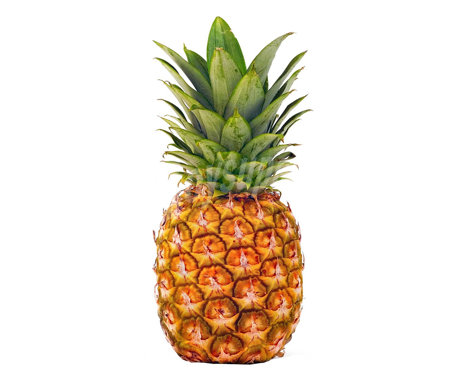 Piña entera