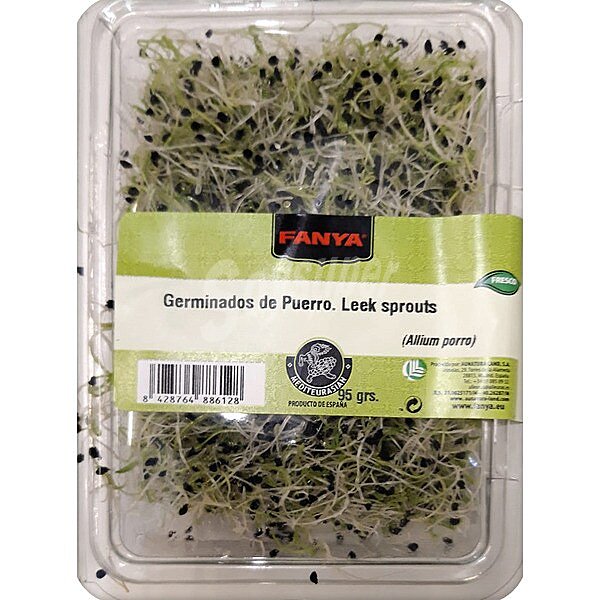 Germinados de puerro