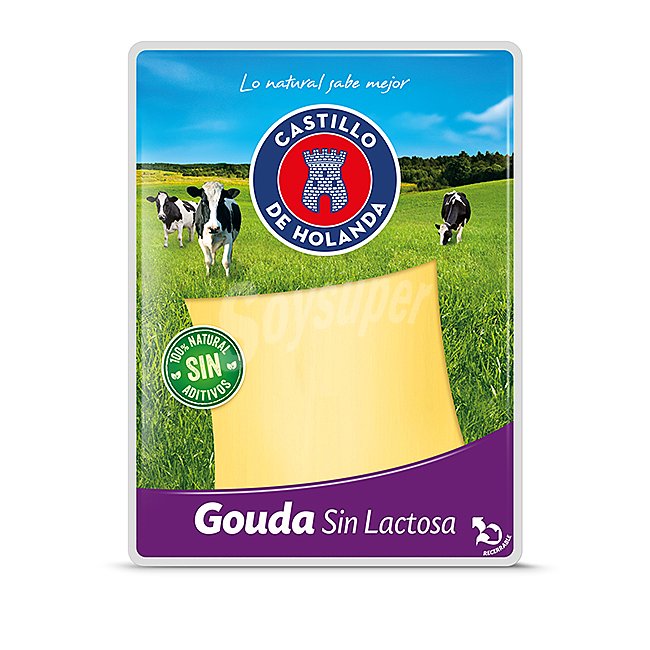 Castillo DE holanda Queso Gouda sin lactosa en lonchas castillo DE holanda