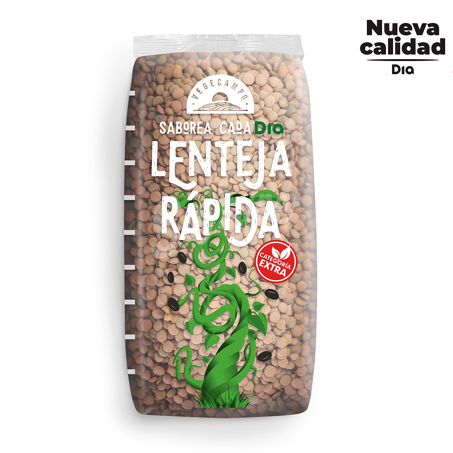 Lenteja cocción rápida vegecampo