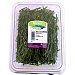 Salicornia unidad 100 g