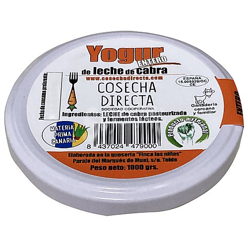 Cosecha directa Yogur de leche de cabra natural, elaborado en Telde cosecha directa