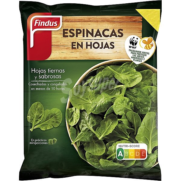 Espinacas en hojas