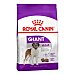 Giant pienso para perros adultos grandes