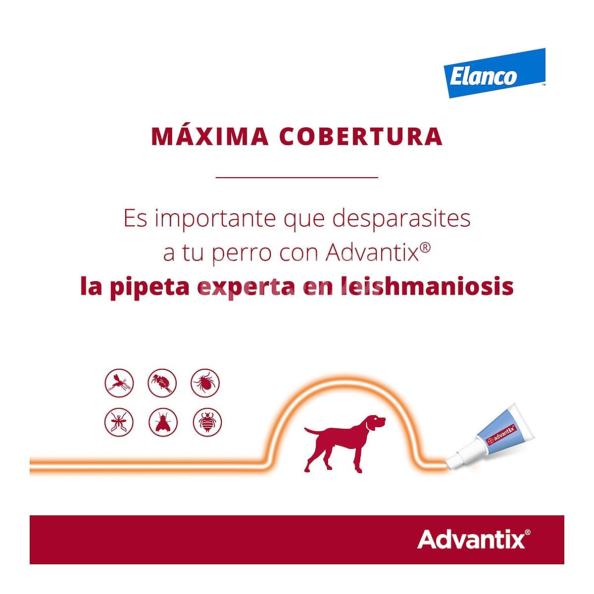 Advantix pipetas desparasitarias para perros de peso de más de 25 kg