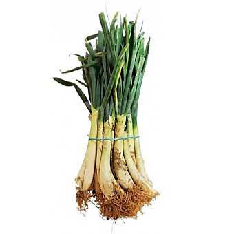 Calçots