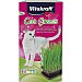 Snacks para gatos Cat Grass vitakraft