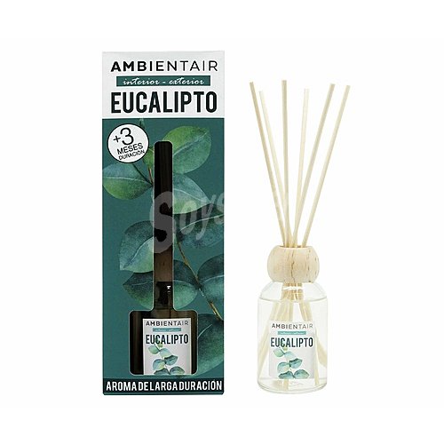 Ambientador de varillas 100 ml. eucalipto, ambientair.