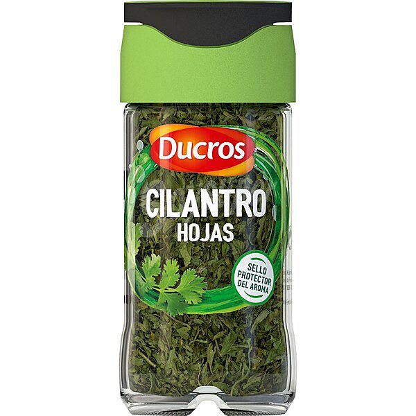 Cilantro